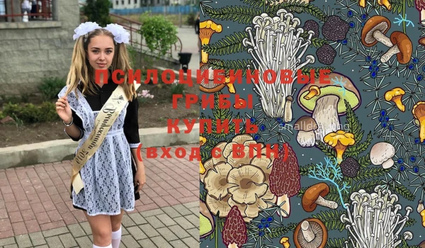 кокаин премиум Заречный