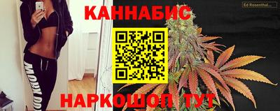 apvp Кимры