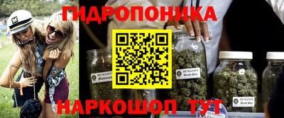 прущие грибы Кинель