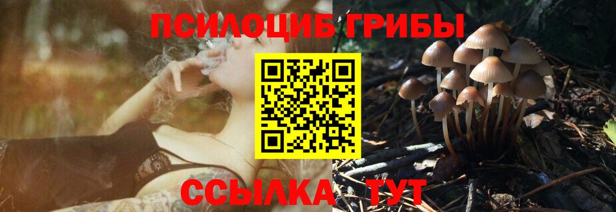 Псилоцибиновые грибы GOLDEN TEACHER  Лесосибирск 