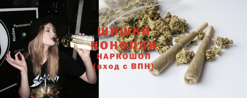 Бошки марихуана THC 21%  Лесосибирск 